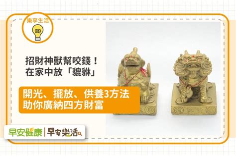 咬錢的神獸|神獸供養方法：三腳金蟾篇(咬錢)